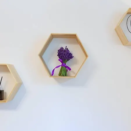 Apartman June B *
